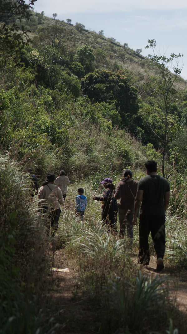 Trekking